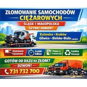 Kasacja, złomowanie ciężarówek. Odbiór we wskazanym miejscu. Śląsk i Małopolska | Złomowanie pojazdów ciężarowych